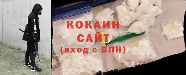 кокс Алексин