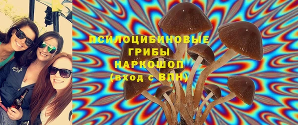 кокс Алексин