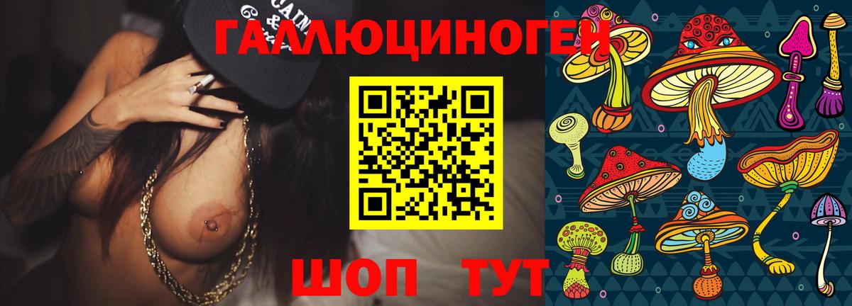Аргун  Псилоцибиновые грибы мицелий  Вход с VPN 